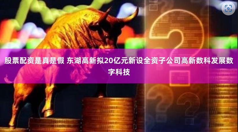 股票配资是真是假 东湖高新拟20亿元新设全资子公司高新数科发展数字科技