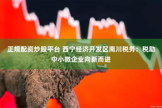 正规配资炒股平台 西宁经济开发区南川税务：税助中小微企业向新而进