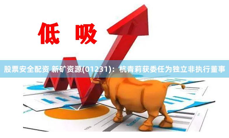 股票安全配资 新矿资源(01231)：杭青莉获委任为独立非执行董事