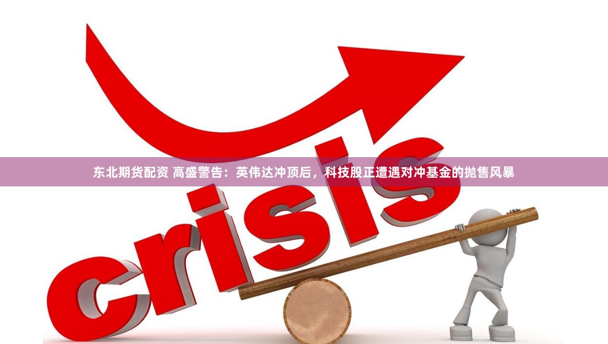 东北期货配资 高盛警告：英伟达冲顶后，科技股正遭遇对冲基金的抛售风暴
