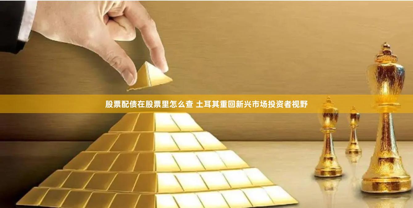 股票配债在股票里怎么查 土耳其重回新兴市场投资者视野