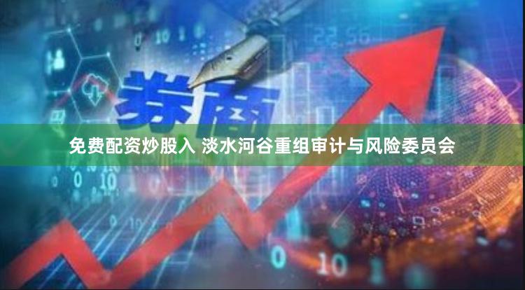免费配资炒股入 淡水河谷重组审计与风险委员会