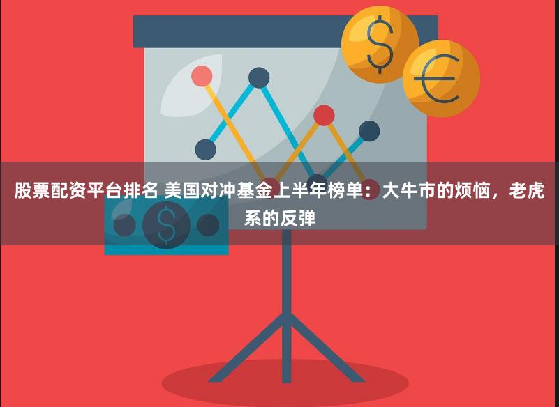股票配资平台排名 美国对冲基金上半年榜单：大牛市的烦恼，老虎系的反弹