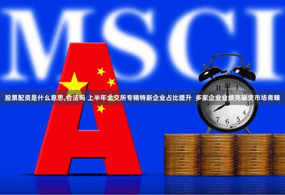 股票配资是什么意思,合法吗 上半年北交所专精特新企业占比提升  多家企业业绩亮眼受市场青睐