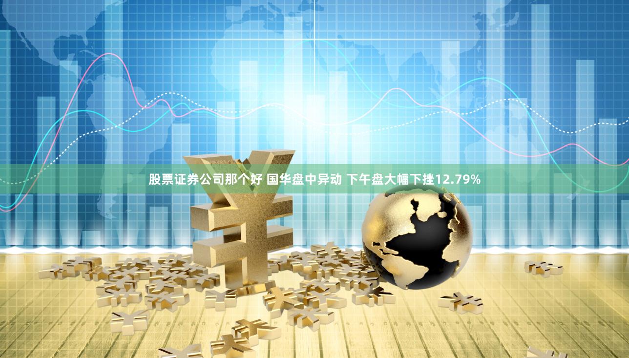 股票证券公司那个好 国华盘中异动 下午盘大幅下挫12.79%