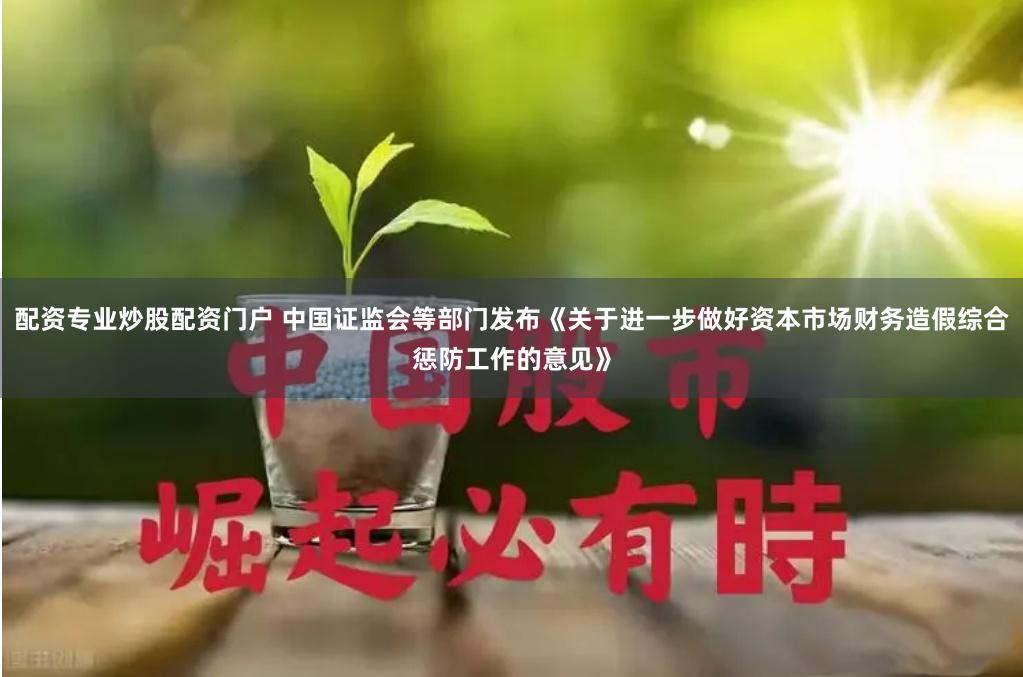 配资专业炒股配资门户 中国证监会等部门发布《关于进一步做好资本市场财务造假综合惩防工作的意见》