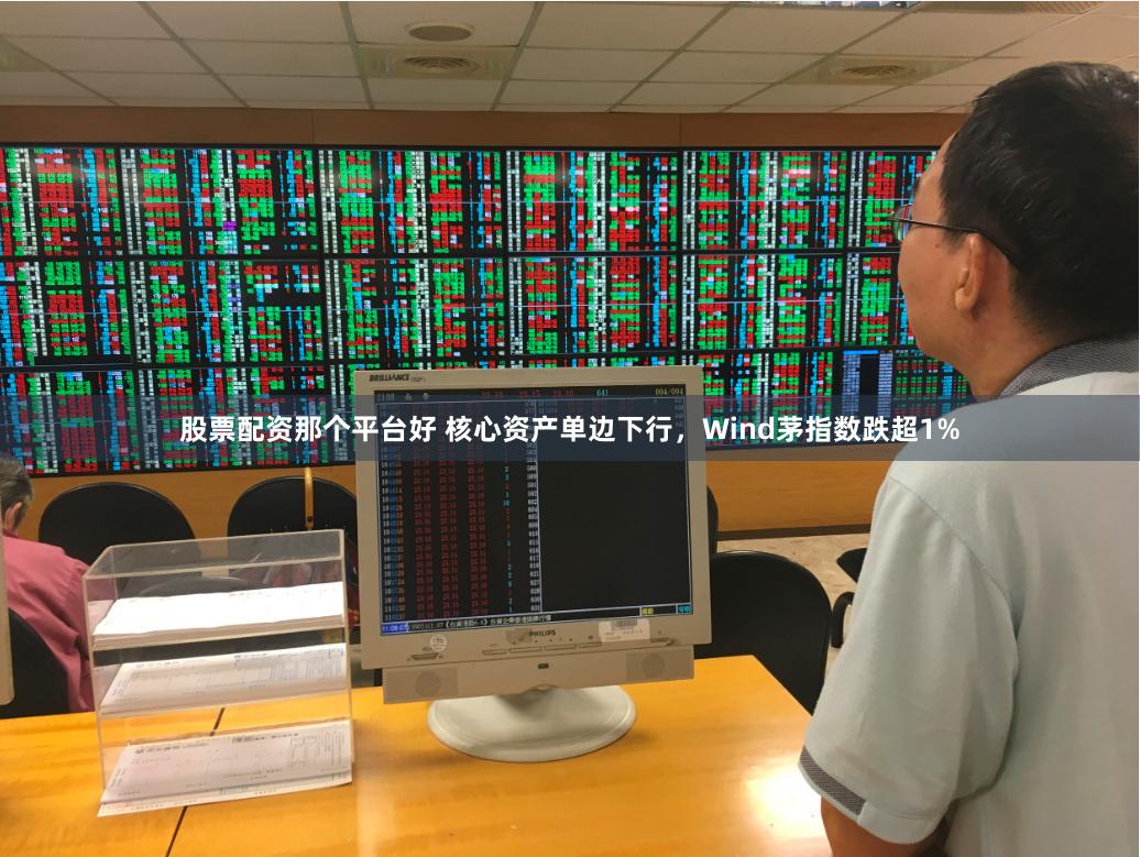 股票配资那个平台好 核心资产单边下行，Wind茅指数跌超1%