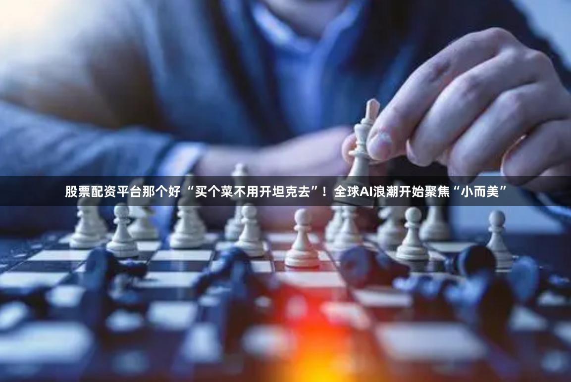 股票配资平台那个好 “买个菜不用开坦克去”！全球AI浪潮开始聚焦“小而美”