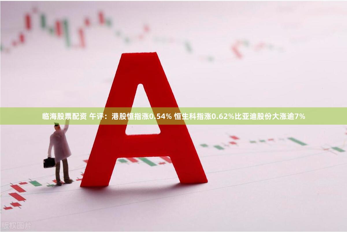 临海股票配资 午评：港股恒指涨0.54% 恒生科指涨0.62%比亚迪股份大涨逾7%