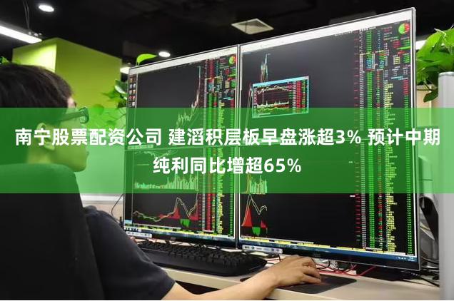 南宁股票配资公司 建滔积层板早盘涨超3% 预计中期纯利同比增超65%