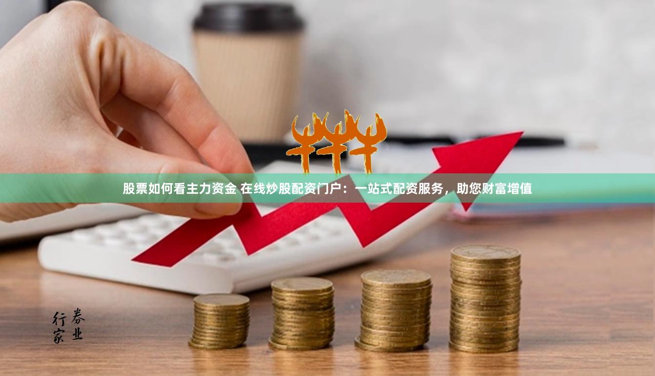 股票如何看主力资金 在线炒股配资门户：一站式配资服务，助您财富增值