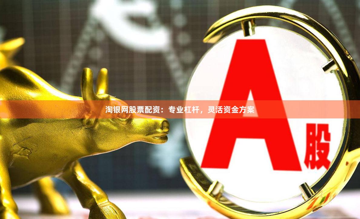 淘银网股票配资：专业杠杆，灵活资金方案