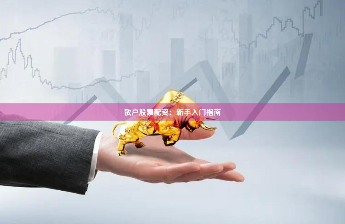 散户股票配资：新手入门指南